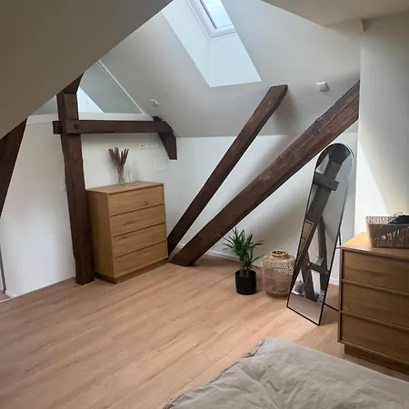 Апартаменты Loft Guenni Mit Whirlpool *